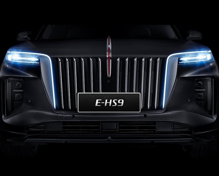 E-HS9 — Welcome light
